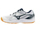 【最大2000円割引クーポン!枚数限定5/6 09:59まで】MIZUNO ミズノ サイクロンスピード 5 Jr エントリーモデル バレーボール V1GD251...
