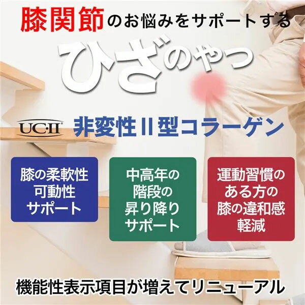 ココカラダ ひざのやつ 60カプセル入 220121 非変性2型コラーゲン 機能性表示食品