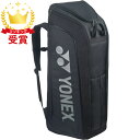 Yonex ヨネックス スタンドバッグ テニス2本用 テニス バッグ BAG2403-007 ラフィートスポーツ