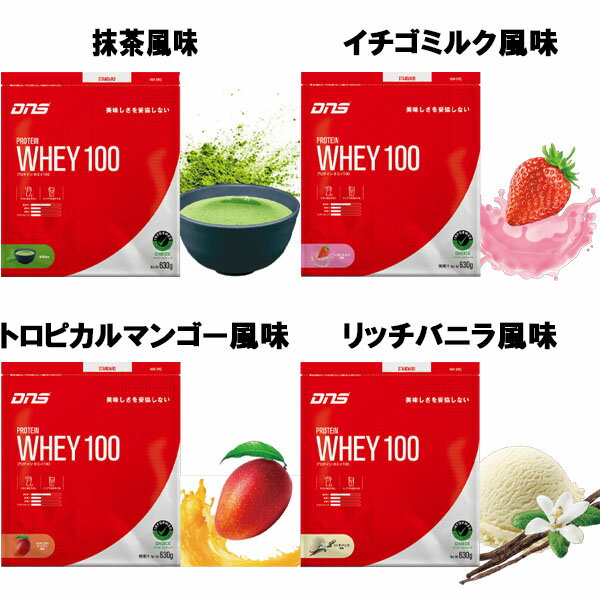 DNS �ǥ������̥��� �ץ��ƥ���ۥ���100 630g �ץ��ƥ��� ���ݡ��ĥ��ץ���� dns ¨Ǽ����