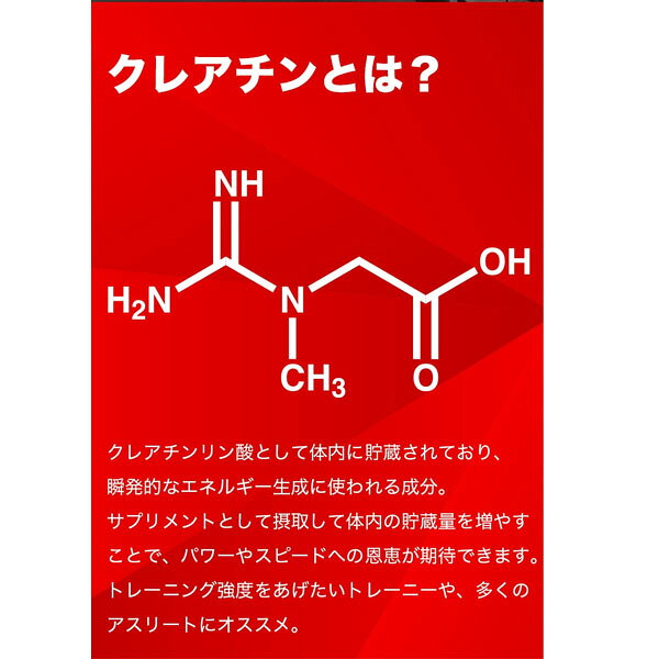 DNS ディーエヌエス クレアチン 200g 40回分 CRT200 スポーツサプリメント dns 即納あり lafitte-10006278 Lafitte ラフィートスポーツ サンプル画像3