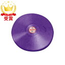 ニシスポーツ NISHI 円盤 練習用 ゴム製 1.0kg T5303B-960