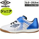 返品交換不可 大特価 UMBRO アンブロ アクセレイター SB JR WIDE IN サッカー トレーニングシューズJRインドア UF5SFCF5J-WHBL...