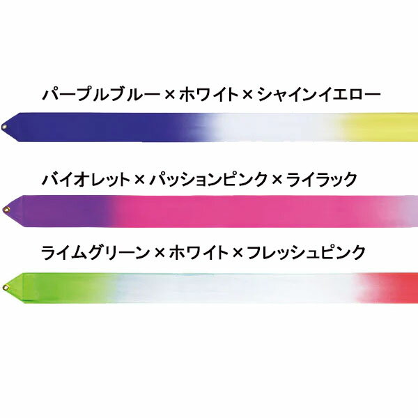 【最大2000円割引クーポン！枚数限定7/3 23:59まで】ササキスポーツ SASAKI 新体操...