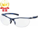 SWANS スワンズ SACR-0066 CSK Airless-Core エアレス・コア 調光レンズモデル ゴーグル・サングラス SACR0066-CSK ラフィートスポーツ