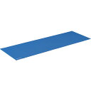 ZETT ゼット 体育器具 ZM1650-2300 YOGA MAT フィットネス 器具・備品 学校体育 ラフィートスポーツ