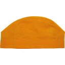 【最大2000円割引クーポン!枚数限定5/6 09:59まで】SWANS スワンズ メッシュキャップ Mサイズ ジュニア・レディース スイミング・水泳 水泳 帽...