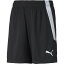 PUMA プーマ TEAMLIGA ゲームパンツ JR サッカー トレーニングウェア 705145-03 ラフィートスポーツ