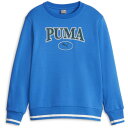 返品交換不可 大特価 PUMA プーマ PUMA SQUAD クルースウェット FL マルチSP スウェット・トレーナー 678520-47