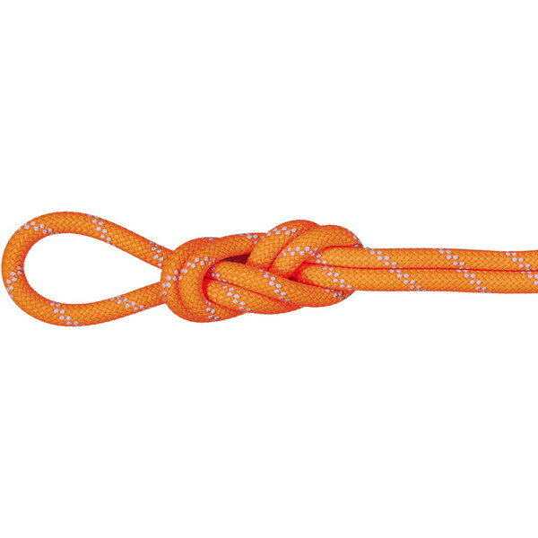 MAMMUT }[g 9.5 Alpine Dry Rope AEghA ANZT[ 201004220D-11256