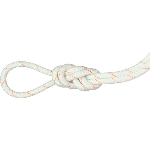 MAMMUT マムート 9.9 Gym Workhorse Dry Rope アウトドア アクセサリー 201004320B-11219