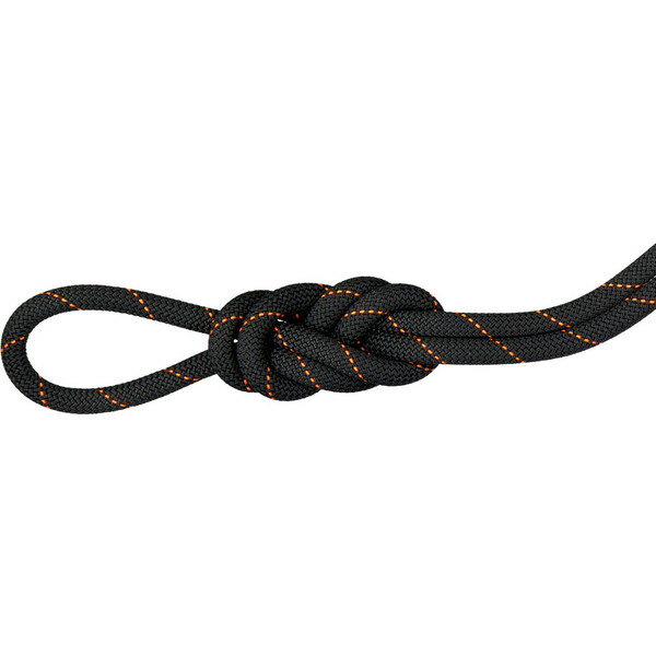 MAMMUT マムート 9.9 Gym Workhorse Dry Rope アウトドア アクセサリー 201004320C-1100