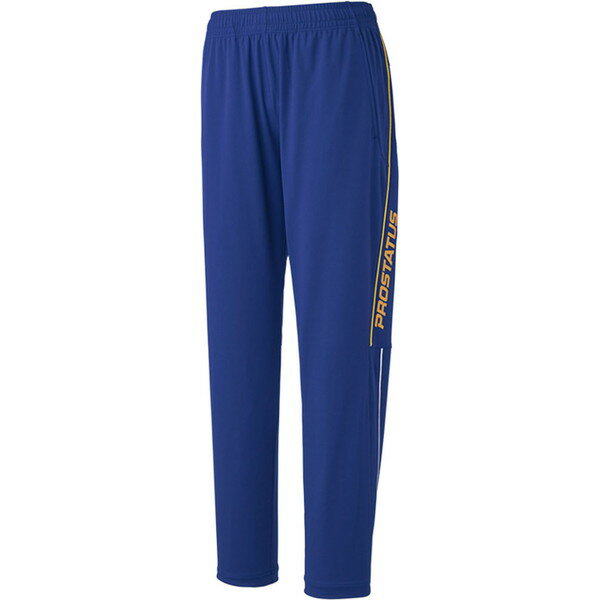 【最大2000円割引クーポン！枚数限定12/6 09:59まで】ZETT ゼット トレーニングウェア ロングパンツ プロステイタストレーニングパンツ 野球 トレーニングウェア BPRO202P-2500 ラフィートスポーツ