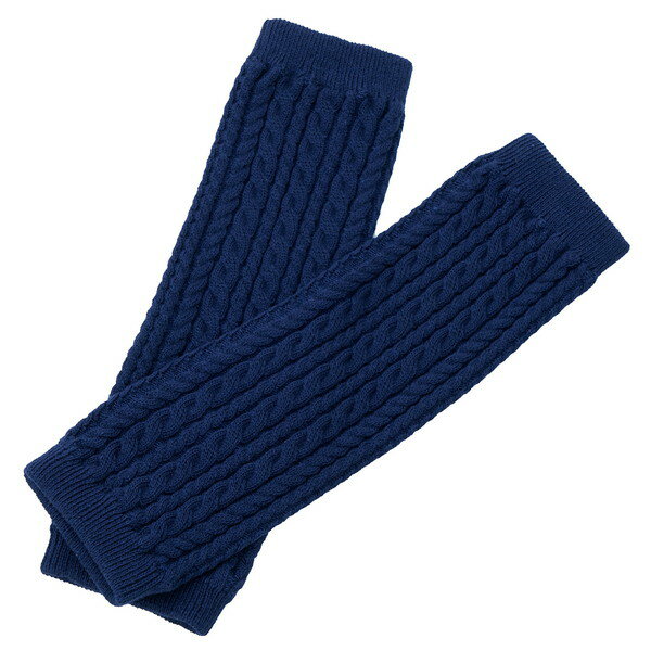 MIZUNO ミズノ 発熱素材 ブレスサーモ ケーブル編みレッグウォーマー レディース マフラー＆ウォーマー B2JXA70114