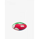 【最大2000円割引クーポン!枚数限定5/6 09:59まで】カンタベリ ミニボール AA04755-NZ ラフィートスポーツ