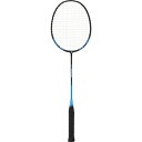 【最大2000円割引クーポン!枚数限定5/6 09:59まで】GOSEN ゴーセン LEGENDARY 30F ブルー バドミントン ラケット MBL30FBB...