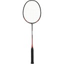 【最大2000円割引クーポン!枚数限定5/6 09:59まで】GOSEN ゴーセン LEGENDARY 30F レッド バドミントン ラケット MBL30FBR...