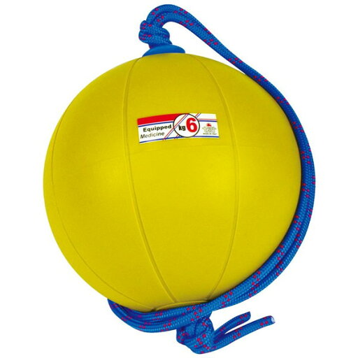 ニシスポーツ NISHI スウィングメディシンボール 6kg T5916-960 ニシスポーツ NISHI スウィングメディシンボール 6kg T5916-960