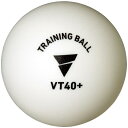 【最大2000円割引クーポン!枚数限定5/6 09:59まで】VICTAS ヴィクタス VT40+ トレーニングボール 100球入 卓球 競技ボール 01570...