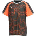PUMA プーマ INDIVIDUALLIGA グラフィック SSシャツ JR サッカー プラクティスシャツJr 660185-10 半袖 ジュニア