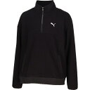 PUMA プーマ AUTUMN パイル FL ハーフZIP マルチスポーツ スウェットシャツメンズ 690142-01