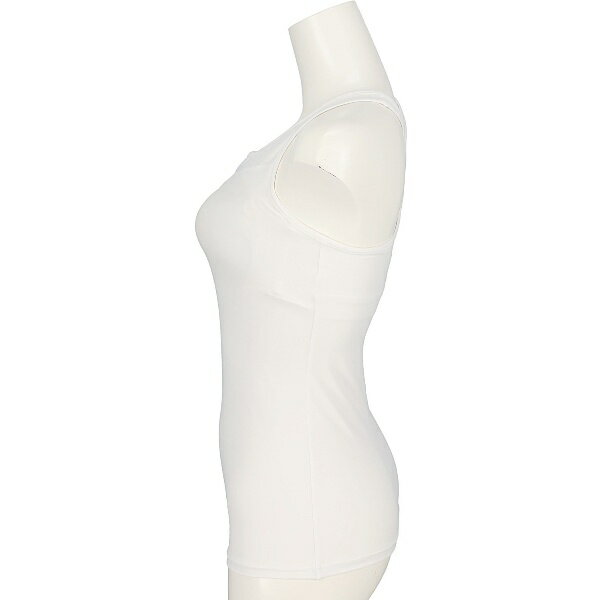 CONVERSE ����С��� �֥�ȥå� �Х����åȥܡ��� ������������� CB351954-1100