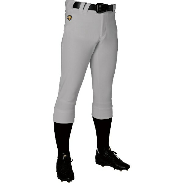 【最大2000円割引クーポン！枚数限定12/6 09:59まで】DESCENTE デサント レギュラーフィットパンツ 野球＆ソフトボール ユニフォームパンツ・メンズ DB5SHP19M-SL00 ラフィートスポーツ