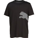 PUMA プーマ TAD BIG LOGO Tシャツ マルチスポーツ Tシャツメンズ 527364-01 半袖(4)