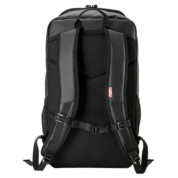 Rawlings ローリングス TPUバックパック EBP15S06-B