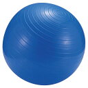 CAPTAINSTAG（キャプテンスタッグ） フィットネスボール65cm＜ポンプ付＞（ブルー）MH−6954 [ MH6954 ]【RS2203】