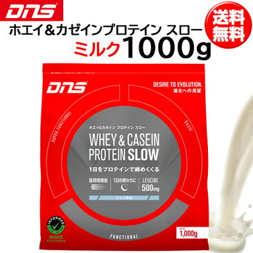 DNS（ディーエヌエス） ホエイ＆カゼインプロテイン スロー（1kg）（dns）（あす楽即納）