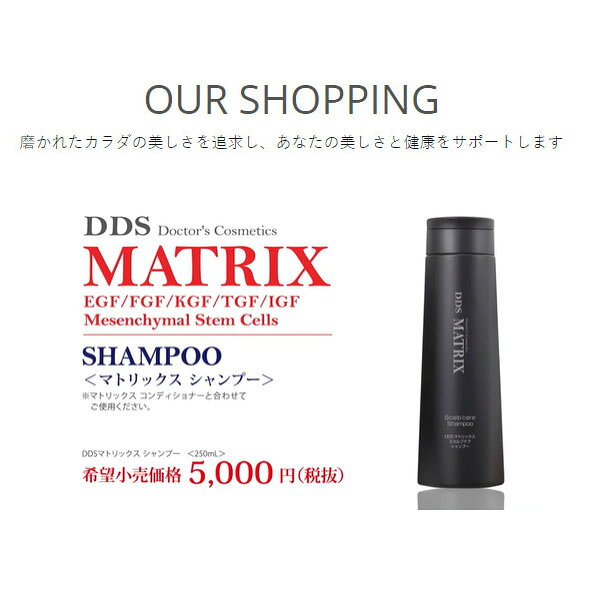 お得な2本セット DDS MATRIX マトリックス シャンプー・コンディショナー各1点 250ml ヒアルロン酸 エラスチン lafitte-10600232 Lafitte ラフィートスポーツ サンプル画像2