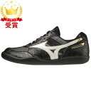 【最大2000円割引クーポン!枚数限定5/6 09:59まで】MIZUNO ミズノ フィールドジオRD-C 陸上競技 ユニセックス U1GA204452 ラフィ...