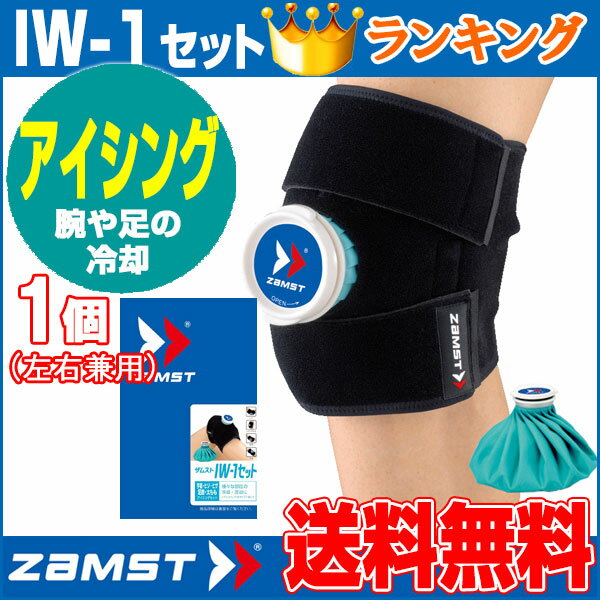 ザムスト ZAMST IW-1セット アイスバ...の紹介画像2