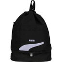【最大2000円割引クーポン!枚数限定5/6 09:59まで】25SS PUMA プーマ スタイル 2 ルーム スイム バッグ 水泳 スイミング プール バッグ...