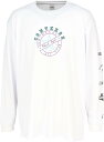 CONVERSE コンバース プリントロングスリーブシャツ バスケットボール Tシャツ メンズ CB242361L-1100