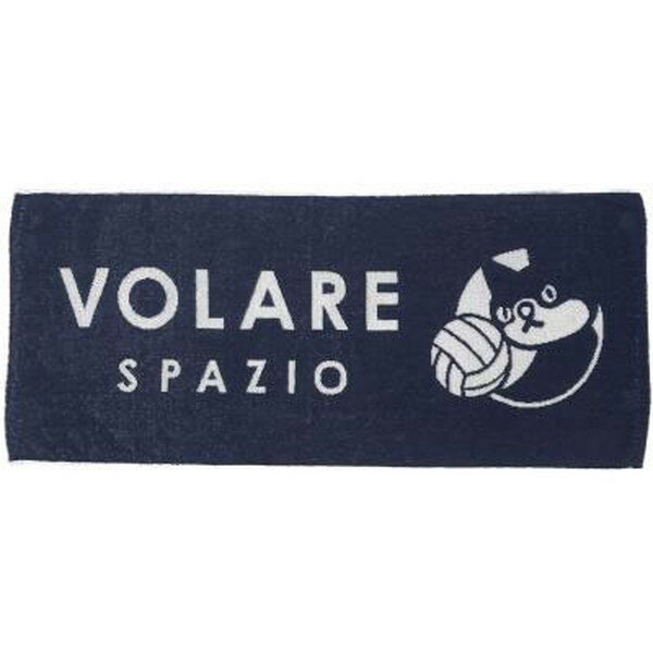 其它 - SPAZIO スパッツィオ VOLARE スポーツタオル バレーボール VS0023-21