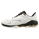 【最大2000円割引クーポン!枚数限定5/6 09:59まで】MIZUNO ミズノ クレー 砂入り人工芝コート ウエーブエクシードライト 2 SW OC ユニセ...