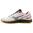 【最大2000円割引クーポン!枚数限定5/6 09:59まで】MIZUNO ミズノ スカイブラスター 3 エントリーモデル バドミントン ユニセックス バドミン...