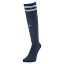 【最大2000円割引クーポン!枚数限定5/6 09:59まで】MIZUNO ミズノ ラインソックス ユニセックス ストッキング ソックス メンズ P2MXA05...