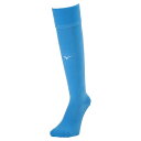 【最大2000円割引クーポン!枚数限定5/6 09:59まで】MIZUNO ミズノ ソックス ユニセックス ストッキング ソックス メンズ P2MXA06018...
