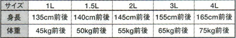 Lafitte ラフィートスポーツの早川繊維工業 九櫻 上下セット ビッグサイズ用大和錦柔道衣 上下セット JSY1L ラフィートスポーツ｜アングル2