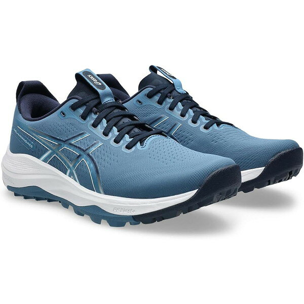 アシックス asics GEL-KAYANO ACE 3 標準幅 2E相当 メンズ ゴルフシューズ 1111A265-400
