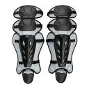 【最大2000円割引クーポン!枚数限定5/6 09:59まで】ミズノ MIZUNO 軟式用/ゴムソフトボール用レガーズ 野球 レガーズ メンズ 1DJLD250...