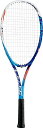 ヨネックス（YONEX） エースゲート66 ACE66G-524