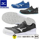 MIZUNO ~Ym [LO SC I[}CeBES31L [LO Y F1GA1903