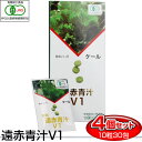 遠赤青汁 V1 10粒×30包 4箱セット 1016-4 野菜不足を感じる人に ケール100% 無添加 ビタミン ミネラル 食物繊維 ラフィートスポーツ(4)