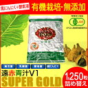 【最大2000円割引クーポン!枚数限定5/6 09:59まで】遠赤青汁 V1 SUPPER GOLD 1250粒 詰替用 遠赤ケール+有機黒にんにく+酵素液 納...
