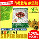 遠赤青汁 V1 SUPPER GOLD 1250粒 詰替用 遠赤ケール＋有機黒にんにく＋酵素液 納豆菌・乳酸菌・酵母菌 1412