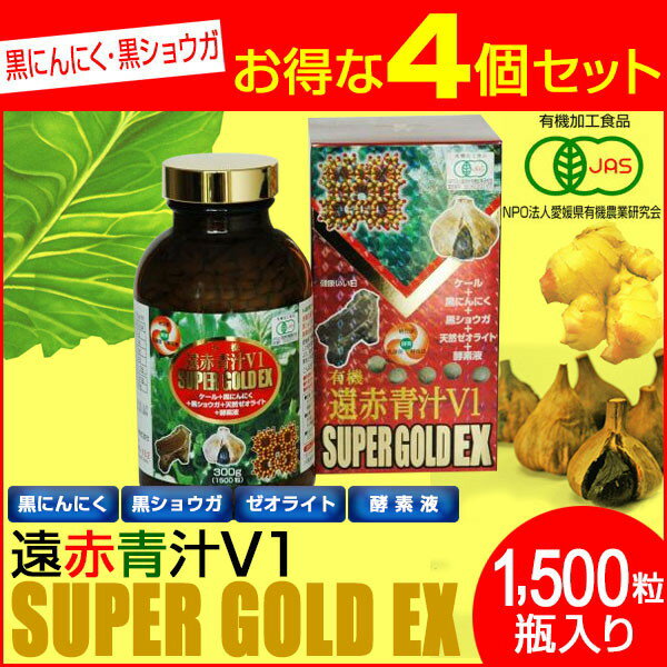 Ԑ` V1 SUPER GOLD EX 1500r 4Zbg 1610-4